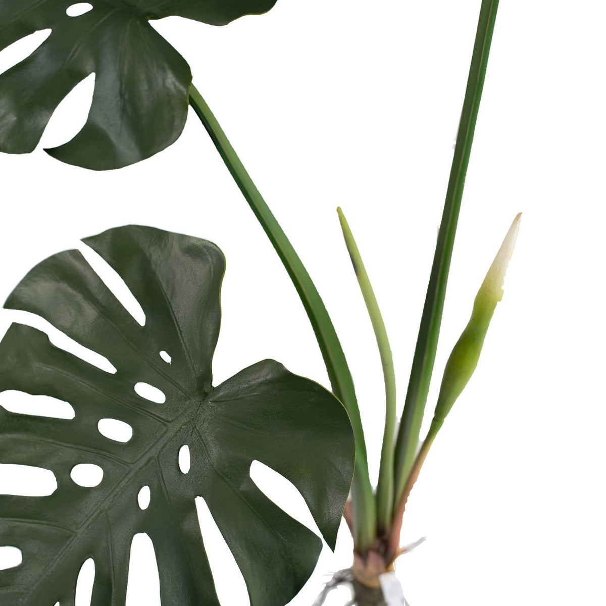 Artificial plants Website Collection Thumbnail - Plant Couture