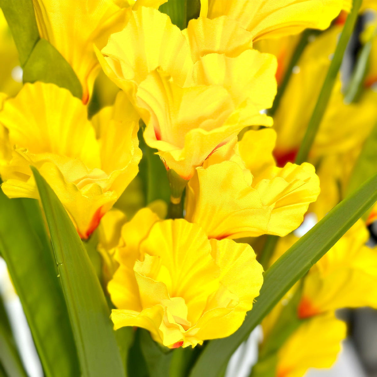 Gladiolus Yellow Flower Arrangement