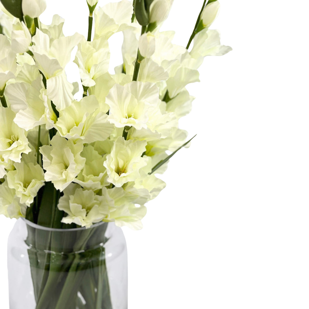 Gladiolus White in Glass Vase