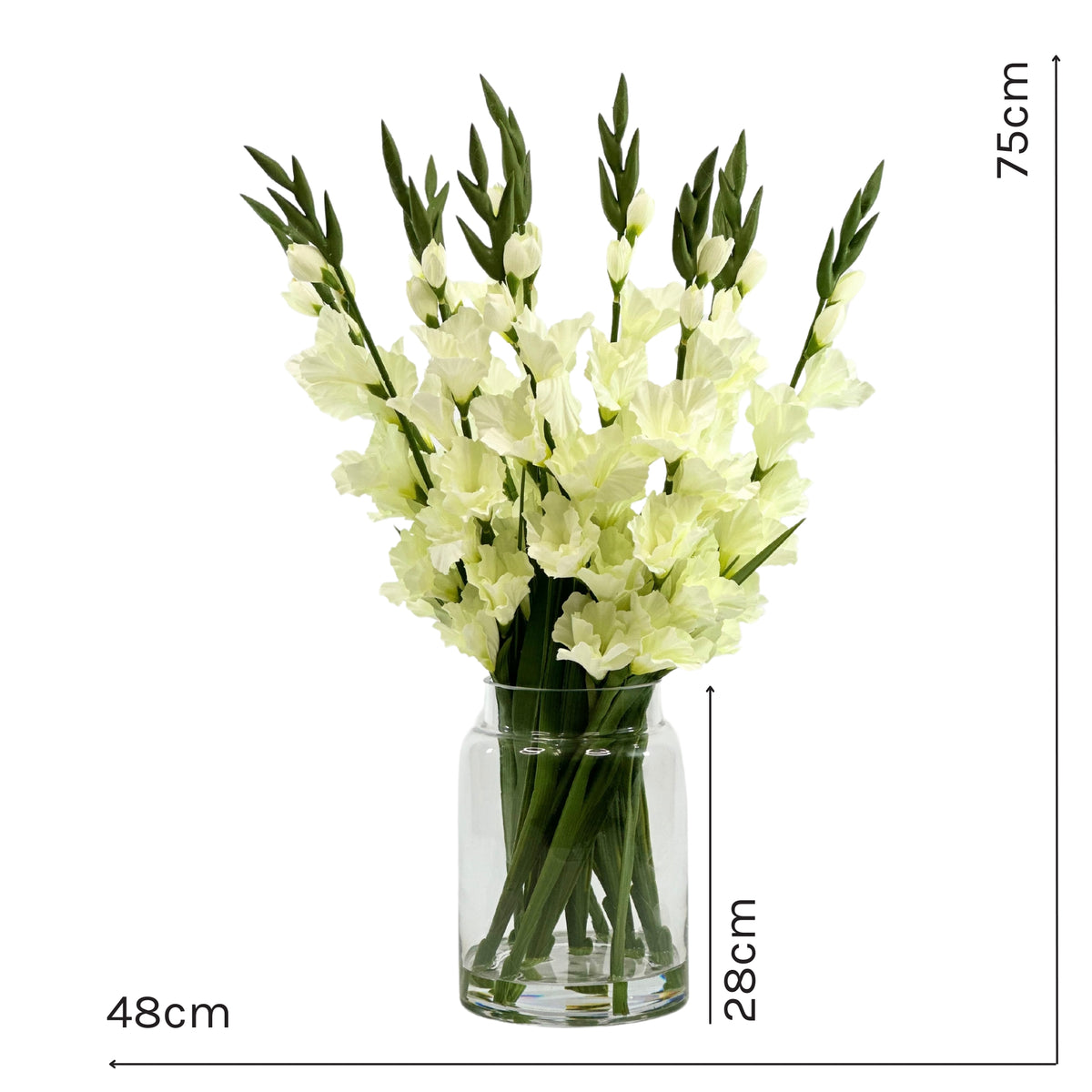 Gladiolus White in Glass Vase