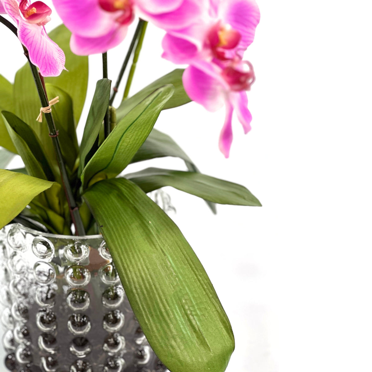 Purple Orchid Arrangement in Large Bubble Glass Vase