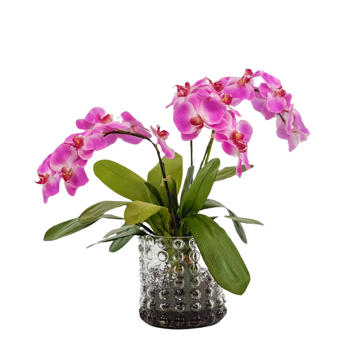 Purple Orchid Arrangement in Large Bubble Glass Vase