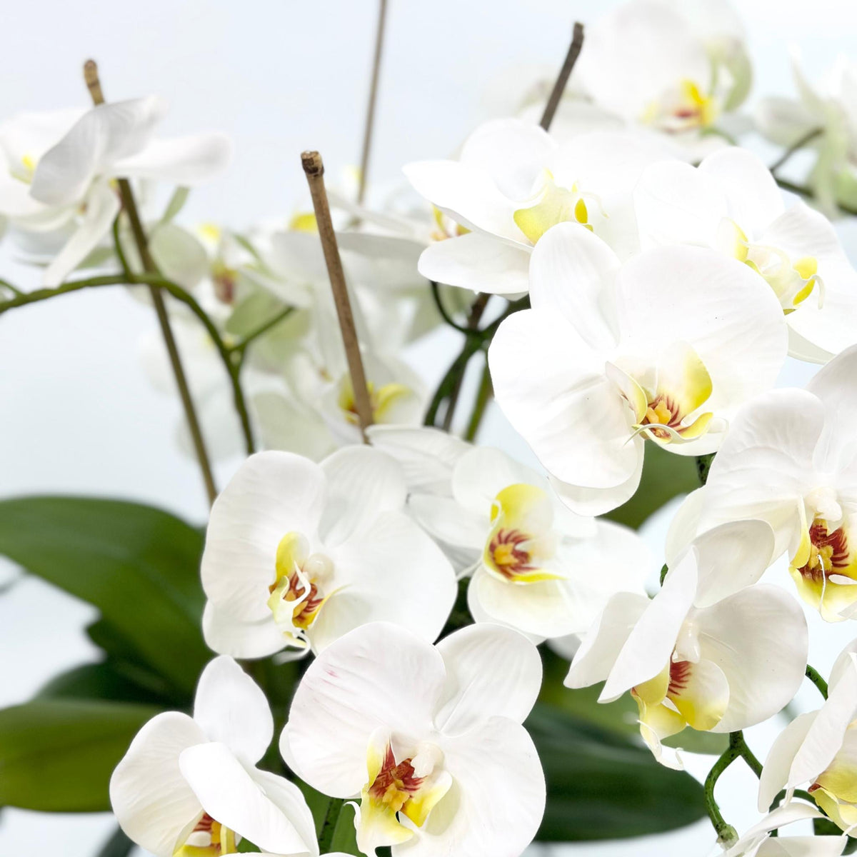 Phalaenopsis Orchid White Silk Flower Arrangement. Close up view. www.plantcouture.co.za