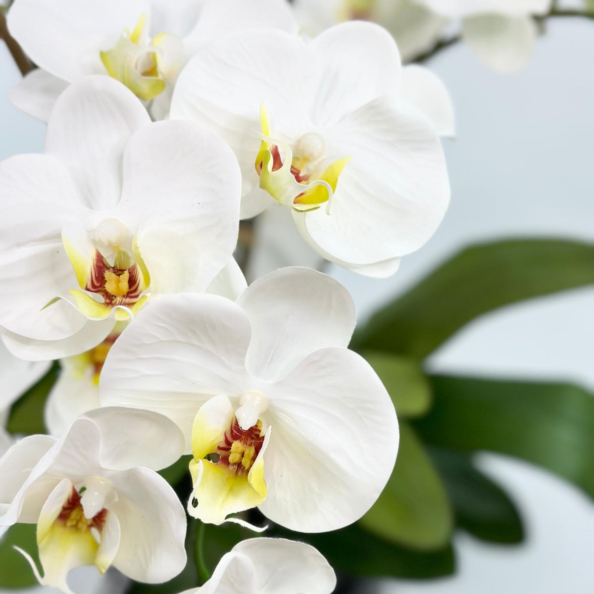 Phalaenopsis Orchid White Silk Flower Arrangement. Close up view. www.plantcouture.co.za
