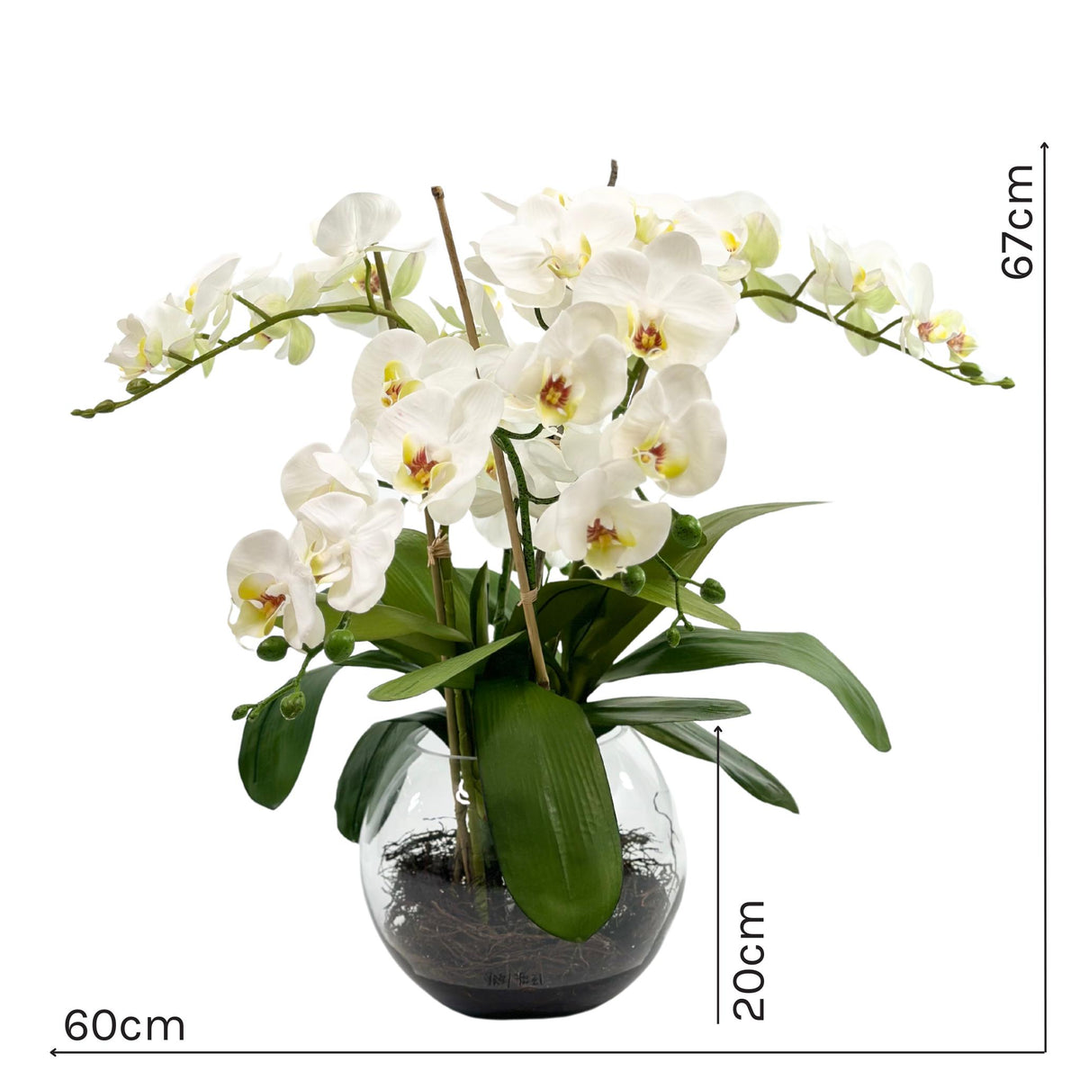 Phalaenopsis Orchid White Silk Flower Arrangement. Top view with measurements. www.plantcouture.co.za