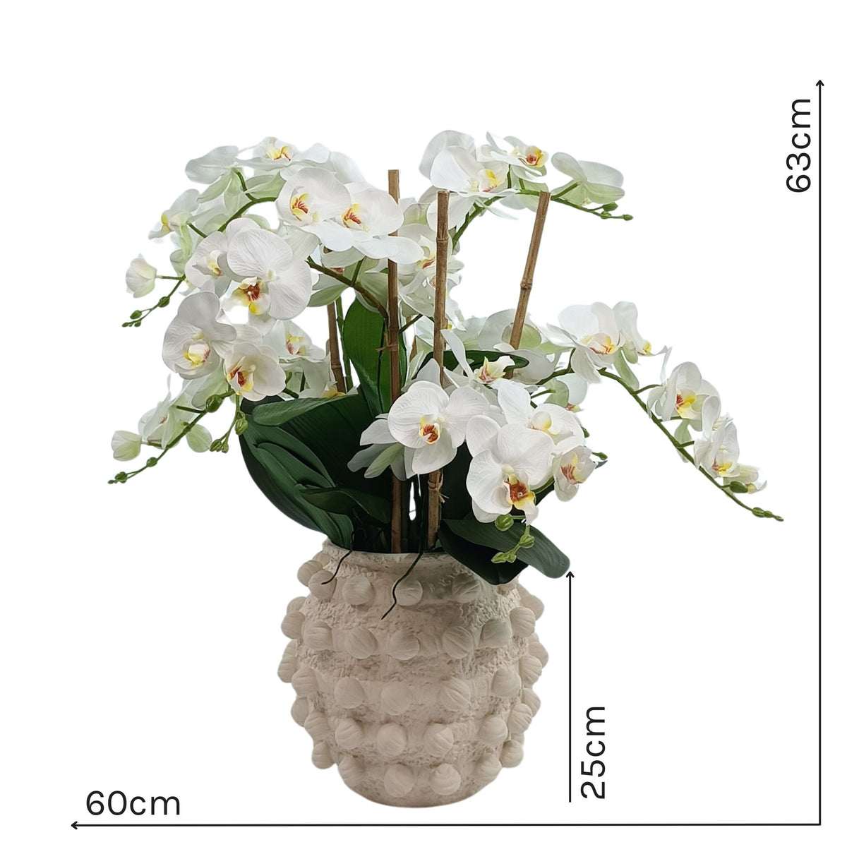 Phalaenopsis White in Ceramic Bobble Vase. Full front view with measurements. 63cm high x 60cm wide and the vase is 25cm high. Silk flower arrangements available from www.plantcouture.co.za.