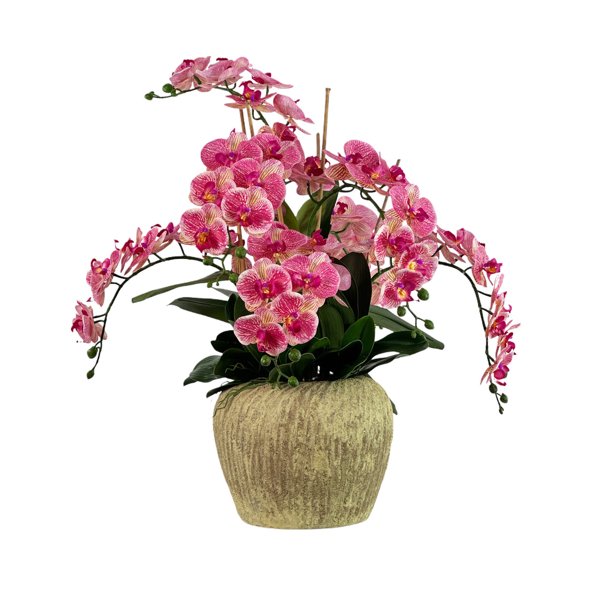 Faux Phaelaenopsis Orchid Pink Arrangement set in Textured Green Cement vase