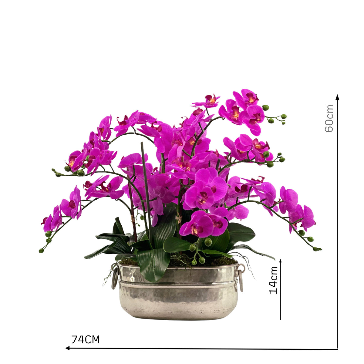 Faux Phalaenopsis Orchid Fushia in Oval Silver Tin