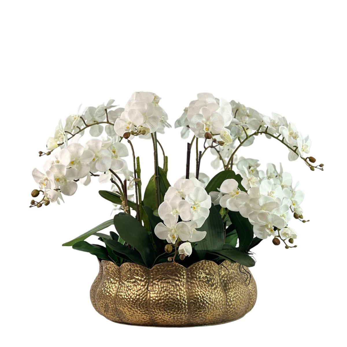 White  Faux Phalaenopsis Orchid Arrangement in Gold Tulip Tin