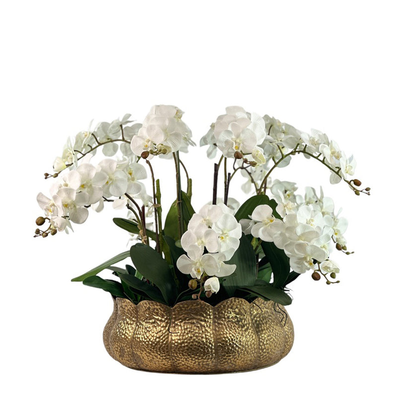 White  Faux Phalaenopsis Orchid Arrangement in Gold Tulip Tin