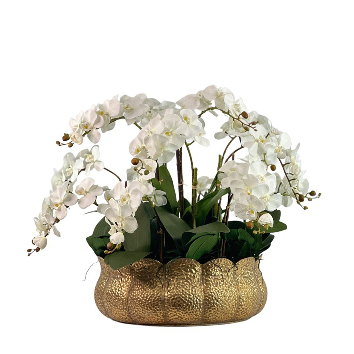 White Artificial Phalaenopsis Orchid Arrangement in Gold Tulip Tin