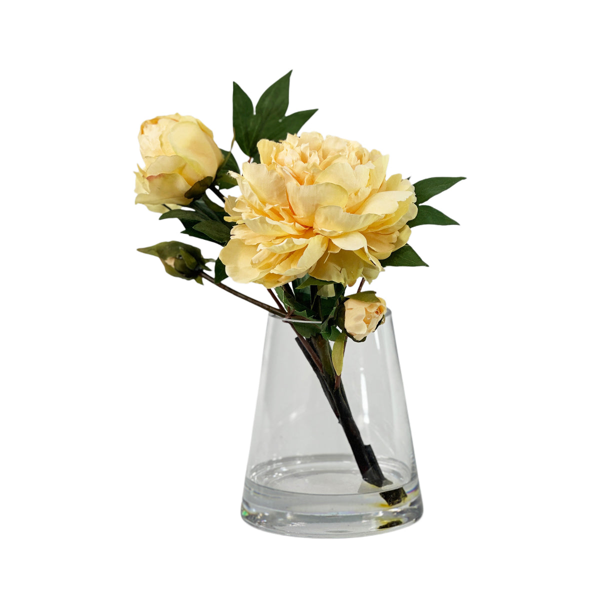 Peonie Yellow  in Small Conicle Vase