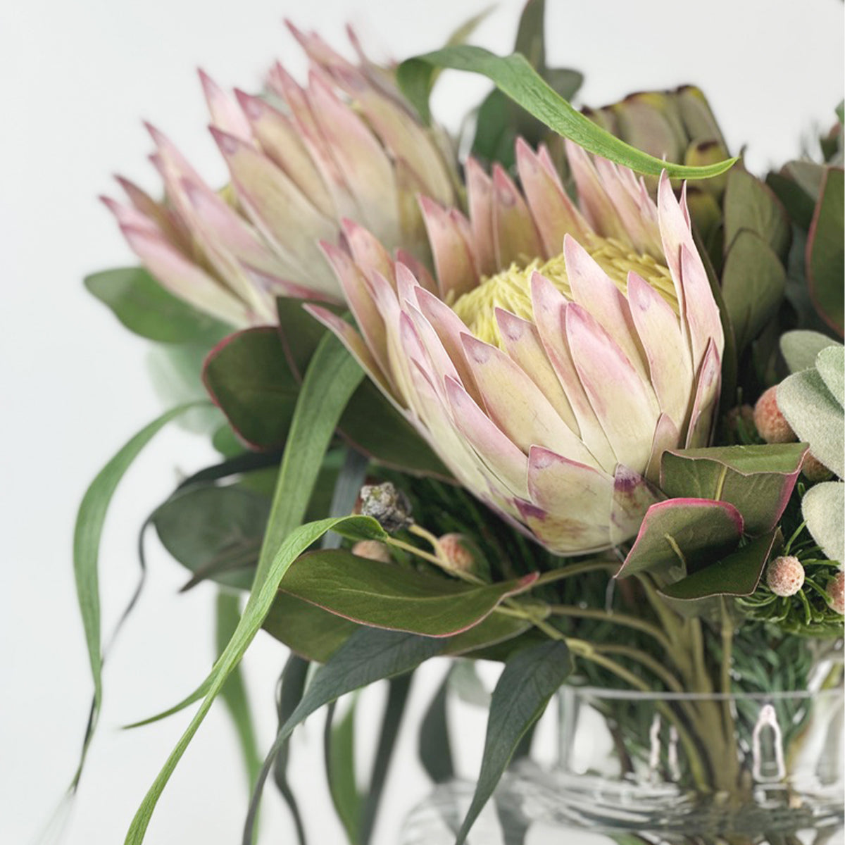 Proteas Eucalyptus Arrangement in Shiny Vase