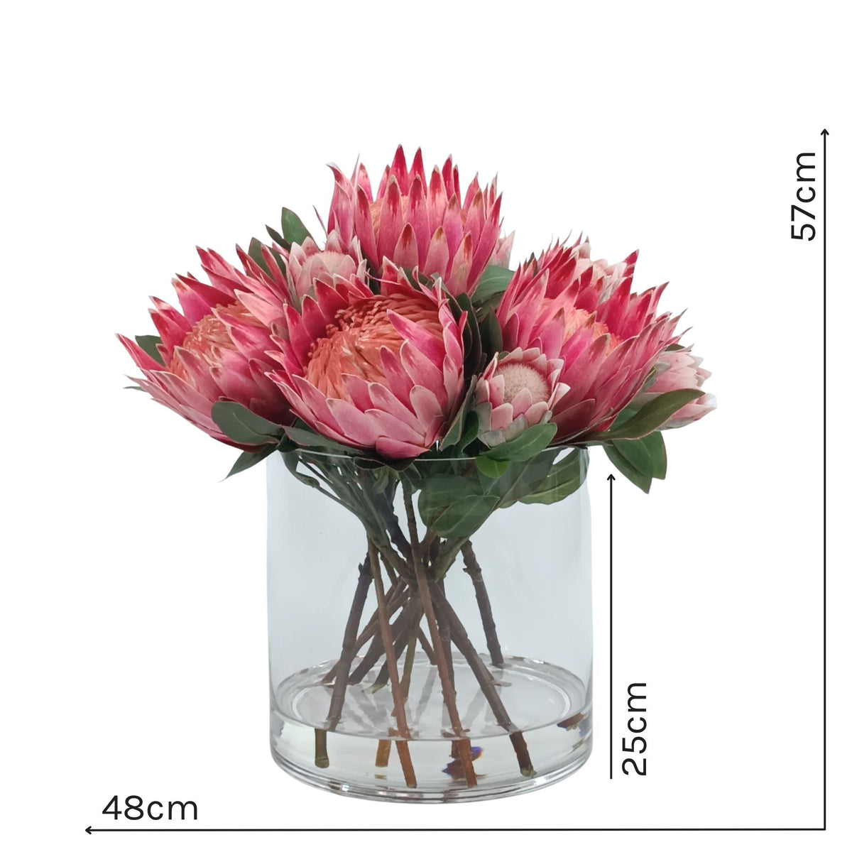 Protea Mix Silk Flower Arrangement in Cylinder Glass Vase. Front view of arrangement with measurements available from www.plantcouture.co.za. 57cm high x 48cm wide. Vase is 25cm high.