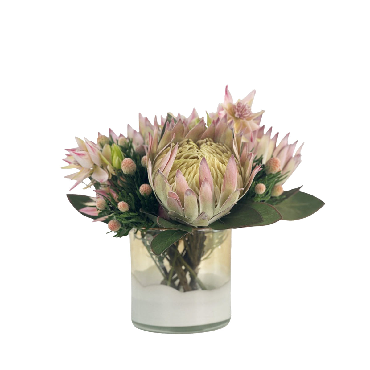 Artificial protea arrangement brings soft blush-pink blooms, tiny buds, and green leaves together in a clean glass cylinder set with faux water
