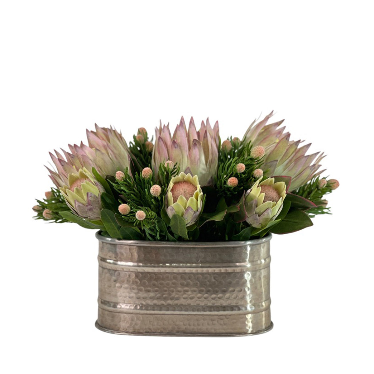 Protea Mix in Silver Oval Tin