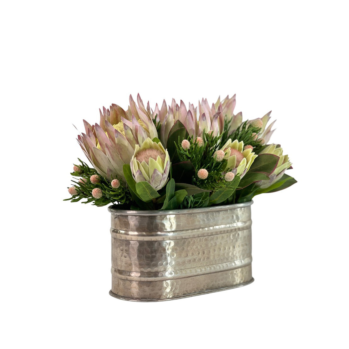 Protea Mix in Silver Oval Tin