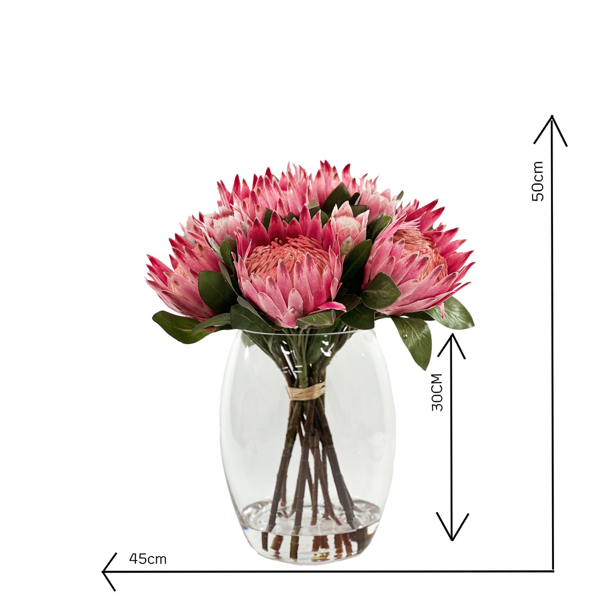 Artificial King Protea Pink in Faux water in Barrel vase with measurements 50cm high and 45cm wide