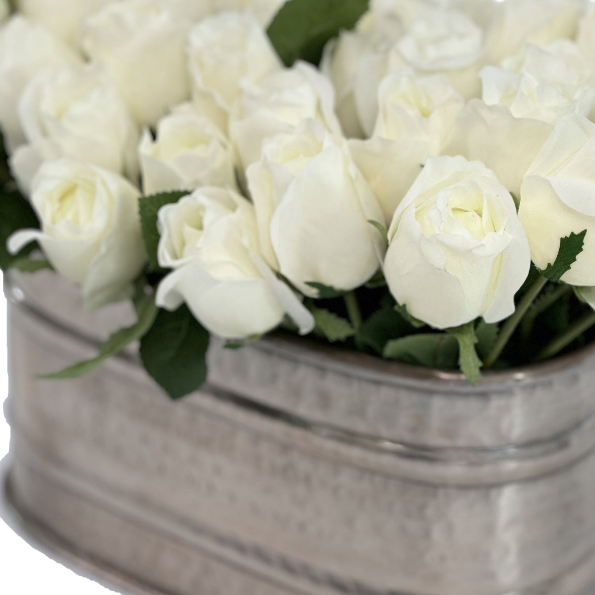 White Roses Arrangement In Oval Tin