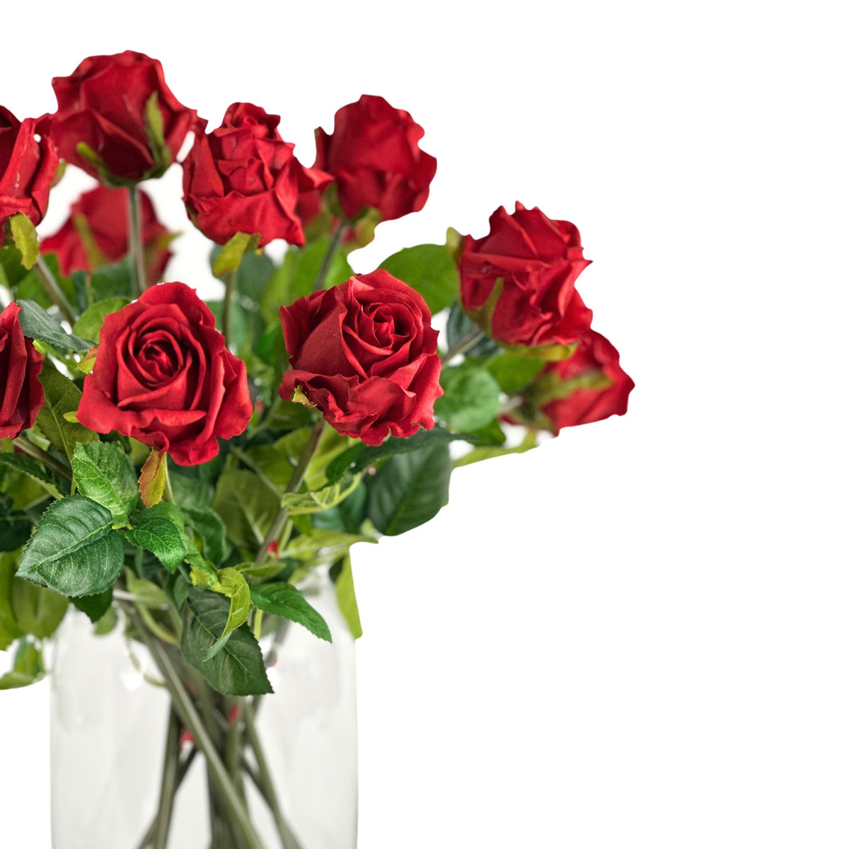 Rose Red Arrangement in Glass Barrel Vase. Front close up view of roses and vase. Available from Plant Couture.