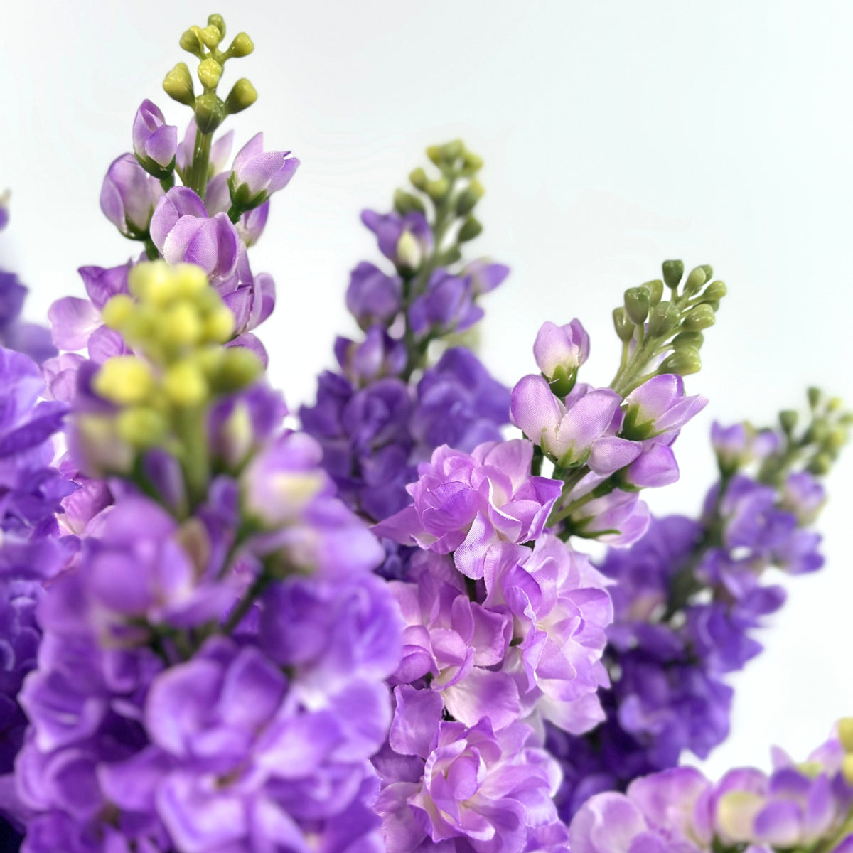 Snapdragons Purple Arrangement in Glass Vase
