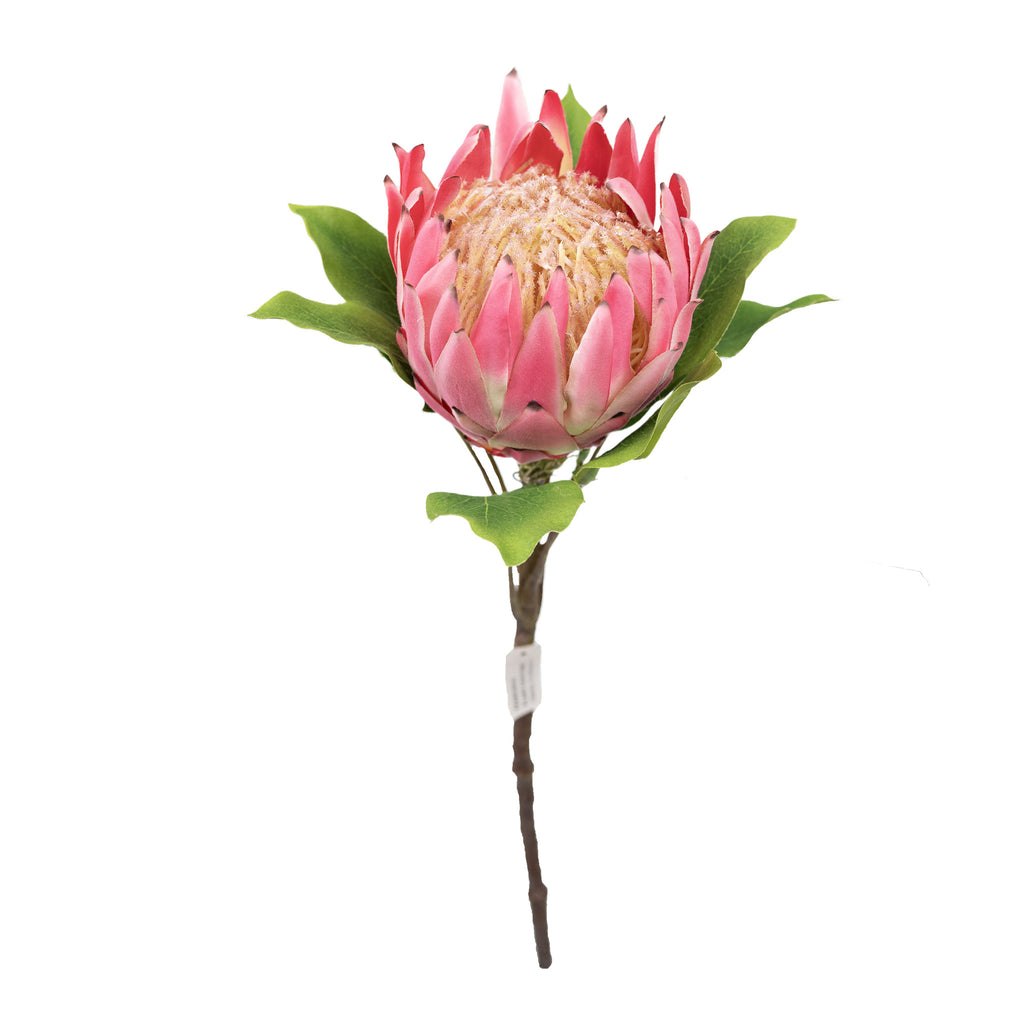 Top view ofFaux King Protea Pink 63cm with leaves