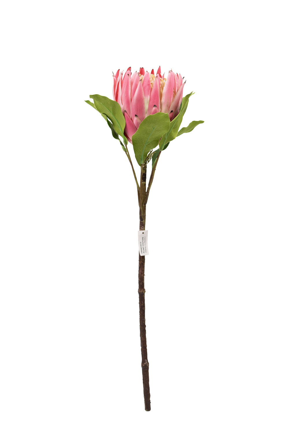 Faux King Protea Pink 63cm with leaves