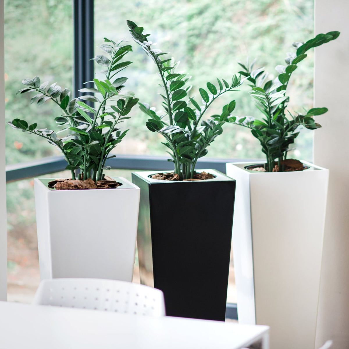 Potted artificial plants to suit your design and style requirements. Faux plants, trees and foliage available from www.plantcouture.co.za