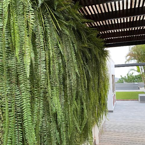 Custom green wall made of artificial ferns. We can make to your requirements. Contact Plant Couture for a quotation.