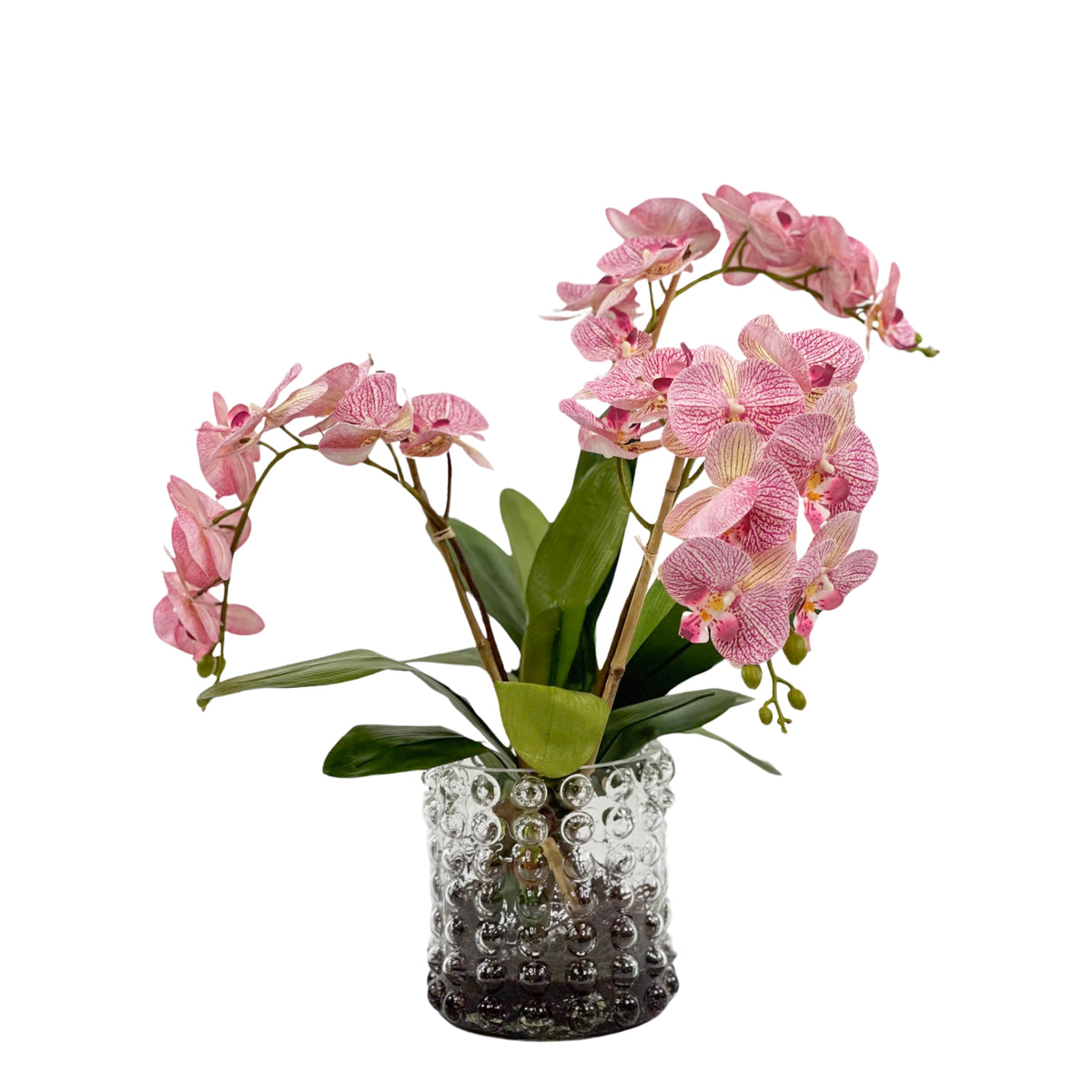 Orchid Pink in Large Bubble Glass Vase Plant Couture