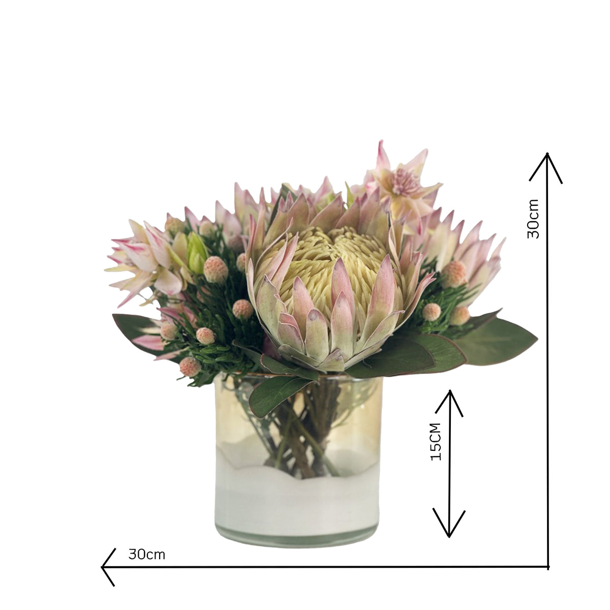 Protea Floral arrangement in a glass vase with dimensions indicated on a white background