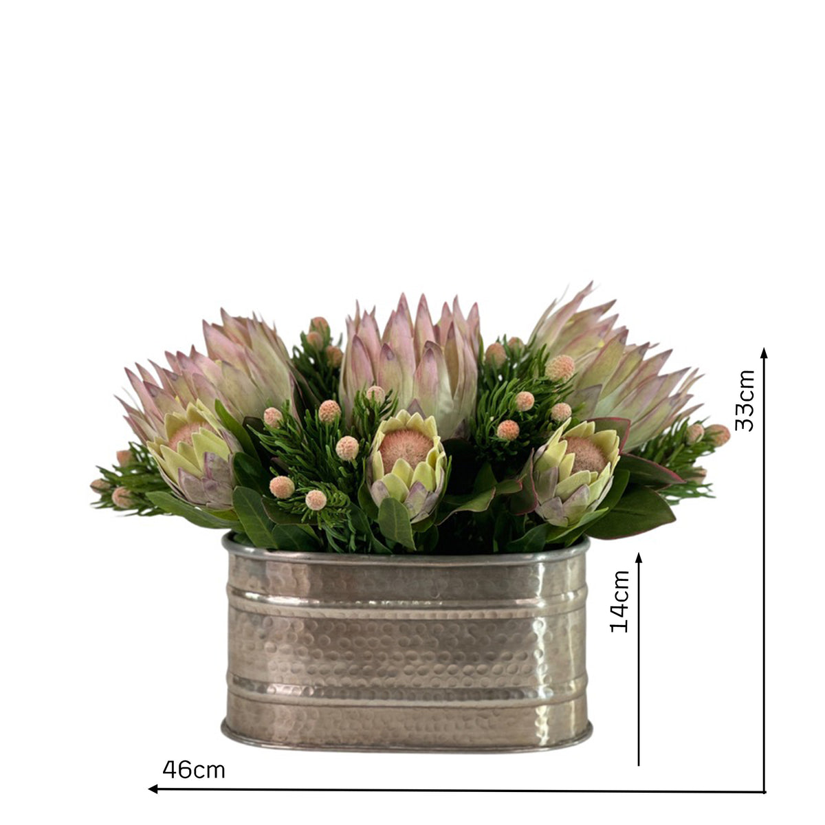 Protea Mix in Silver Oval Tin