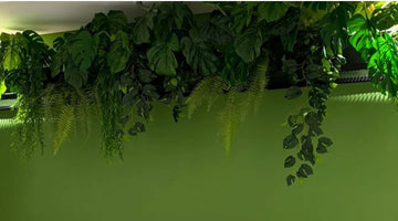 Join the faux plant lifestyle with Plant Couture. Artificial plants, silk flowers, trees, foliage and pots and planters. Shop www.plantcouture.co.za