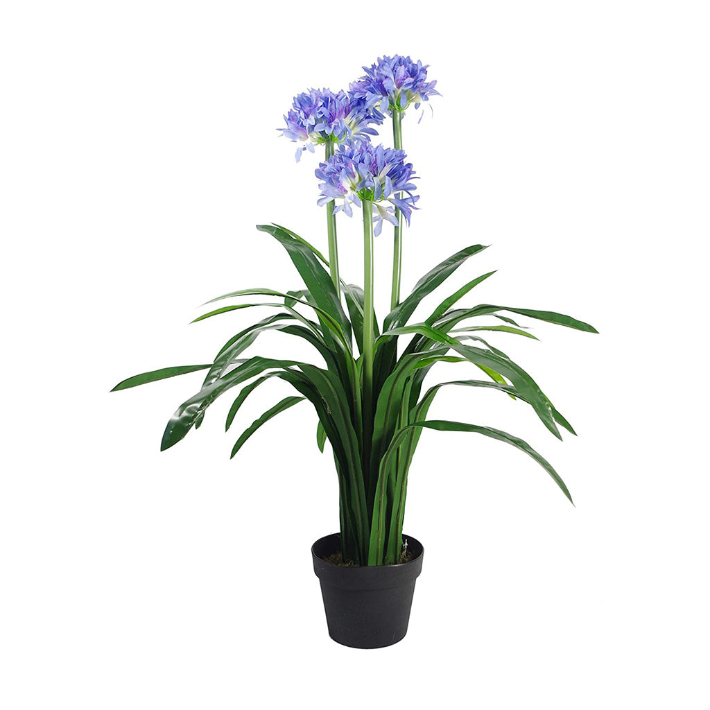 Plant Couture - Artificial Plants - Agapanthus 103cm - Front 