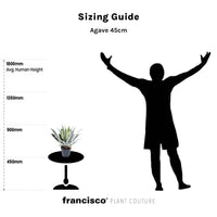 Agave 45cm - Plant Couture - Artificial Plants