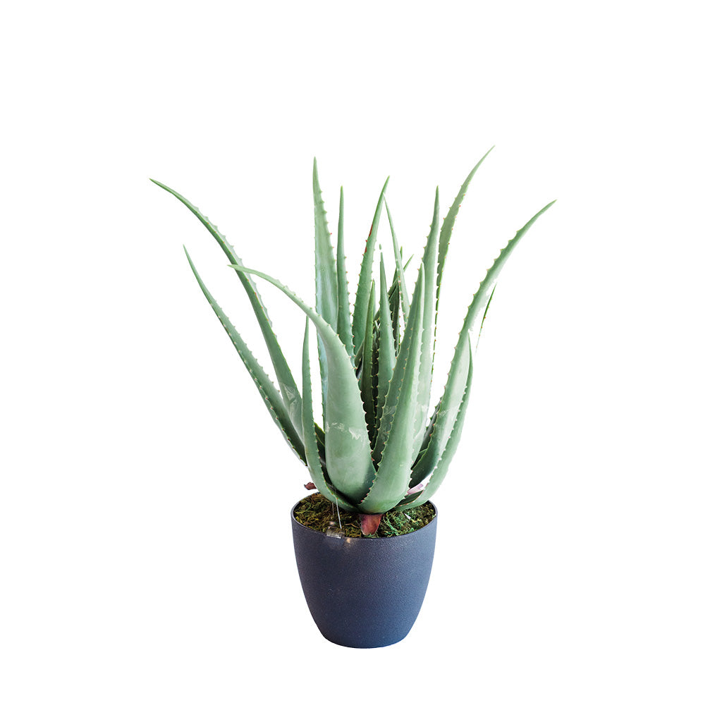 Aloe 70cm - Artificial Plants & Succulents