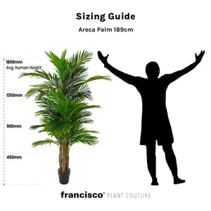 Areca Palm 189cm - Plant Couture - Artificial Plants