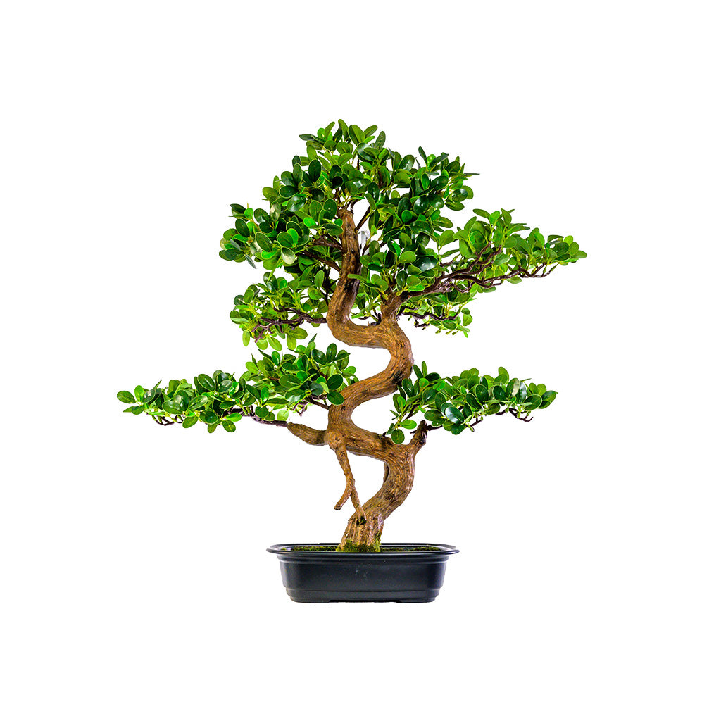 BONSAI出品 Bonsai Tree 68cm - Artificial Plant - Plant Couture – Francisco