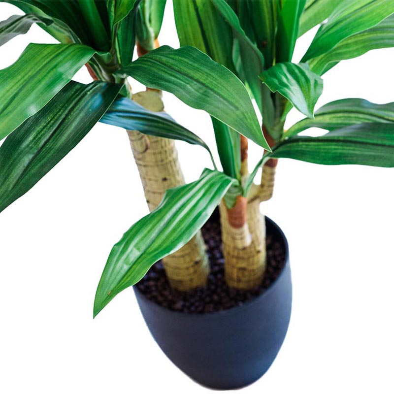 Plant Couture - Artificial Plants - Dracaena 80cm - Close Up 