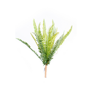 Plant Couture - Artificial Plants - Fern Bush 52cm