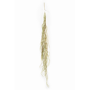 Plant Couture - Artificial Plants - Hanging Aerial Root 100cm