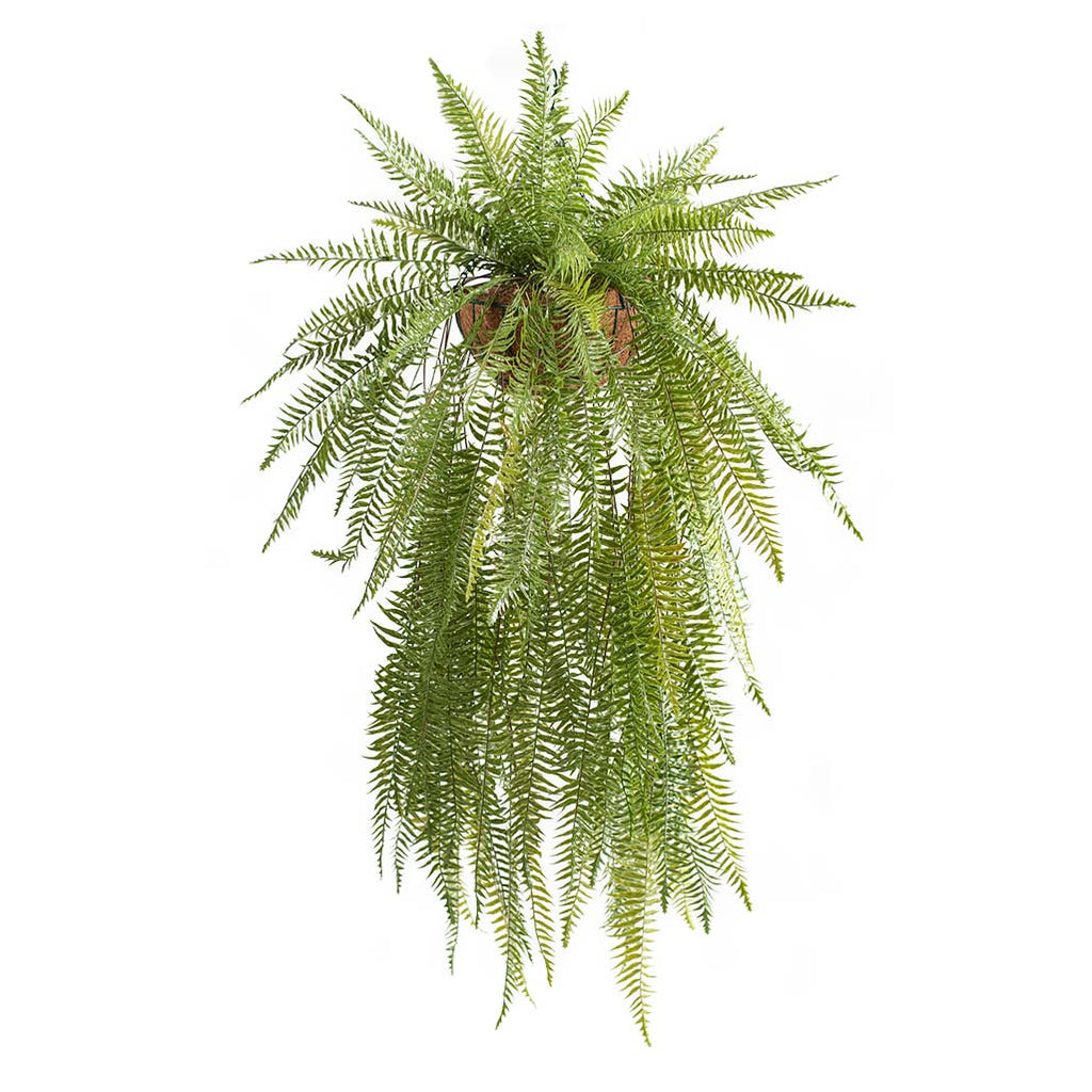 Hanging Basket S with Fern 114CM - Plant Couture - Hanging Baskets