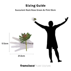 Succulent Rock Rose Green & Pink 10cm - Plant Couture - Artificial Plants