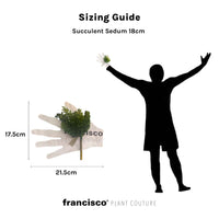 Succulent Sedum 18cm - Plant Couture - Artificial Plants