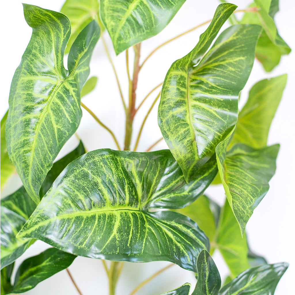 Plant Couture - Artificial Plants - Syngonium Branch 110cm - Close Up Of Leaves And Stems