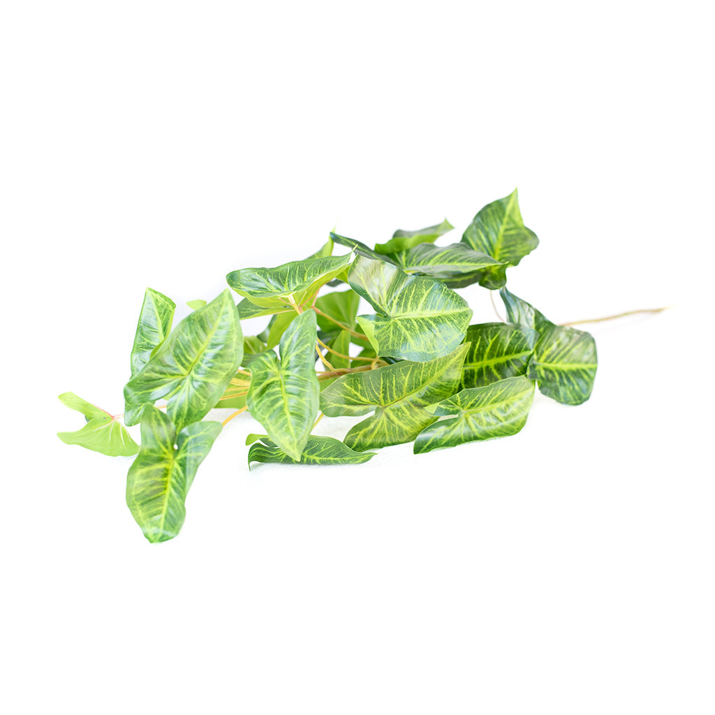 Plant Couture - Artificial Plants - Syngonium Branch 110cm - Side