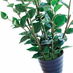 Plant Couture - Artificial Plants - Green Joy 80cm - Close Up Of Leaves And Stems 
