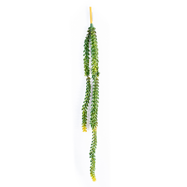 fake donkey tail succulent Hanging Donkey's Tail 76cm - Plant Couture
