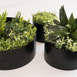 Plant Couture - Artificial Plant & Pot Combo - Wall Ring Set - View from top