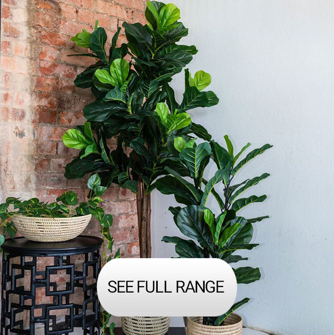 Plant Couture - Trees Collection 